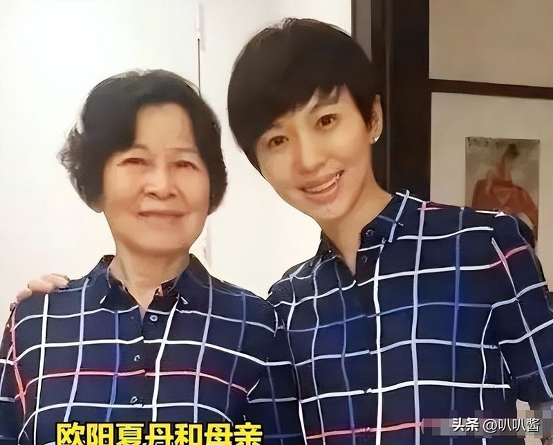 欧阳夏丹新闻联播