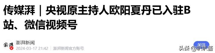 欧阳夏丹新闻联播