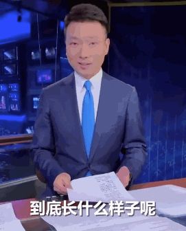 欧阳夏丹新闻联播
