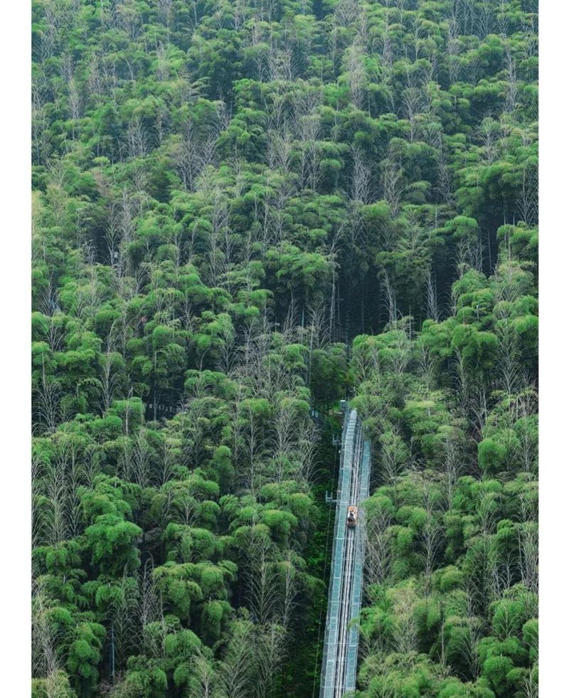 湖州电视台新闻综合频道