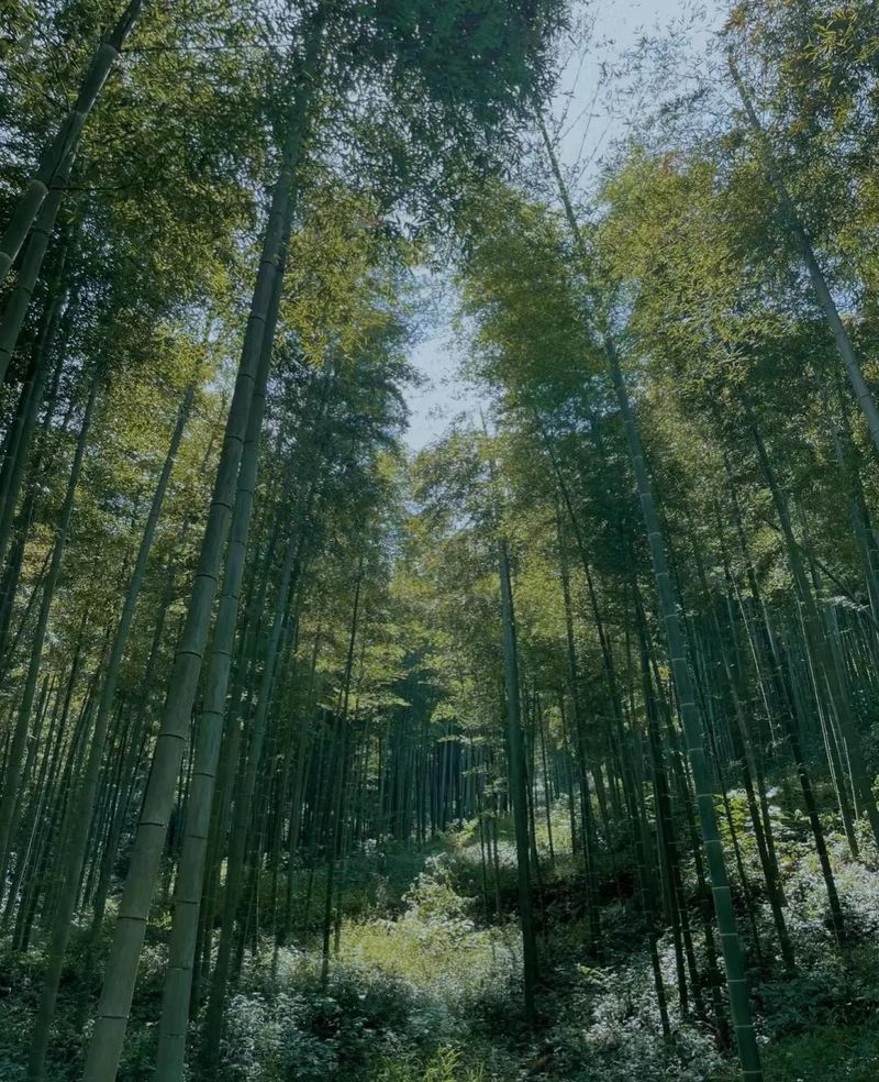 湖州电视台新闻综合频道