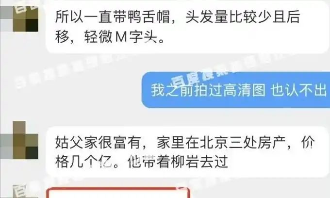 新闻当事人柳岩