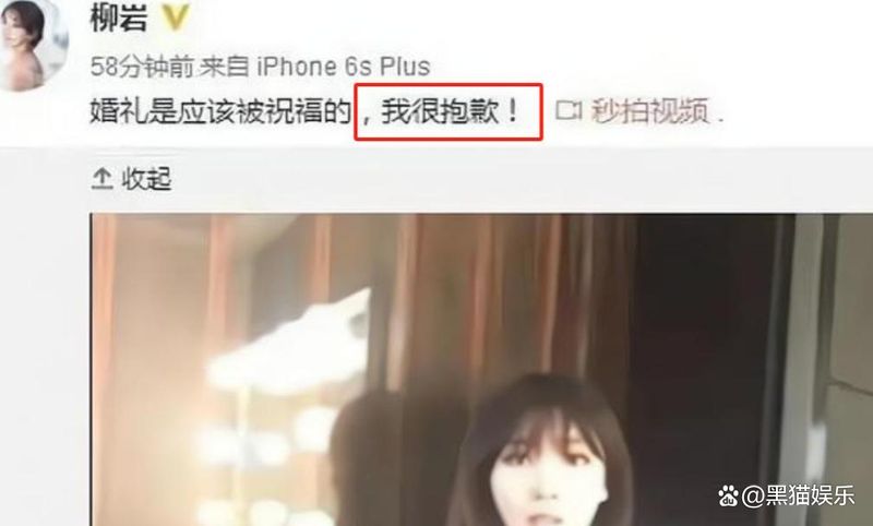 新闻当事人柳岩