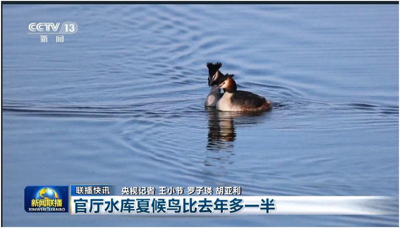 播新闻 内容