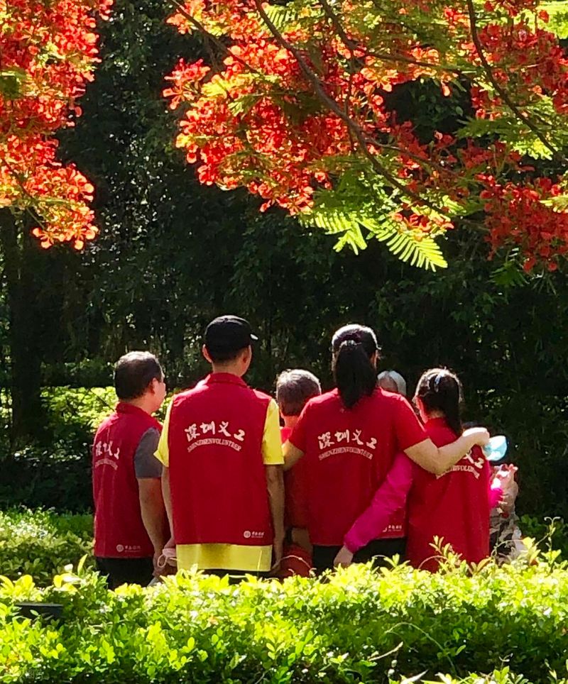 大学生关注的社会热点问题调研