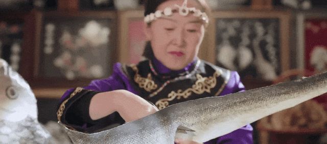 佳木斯新闻广播出国游