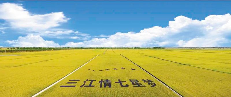 佳木斯新闻广播出国游