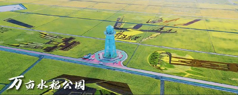佳木斯新闻广播出国游
