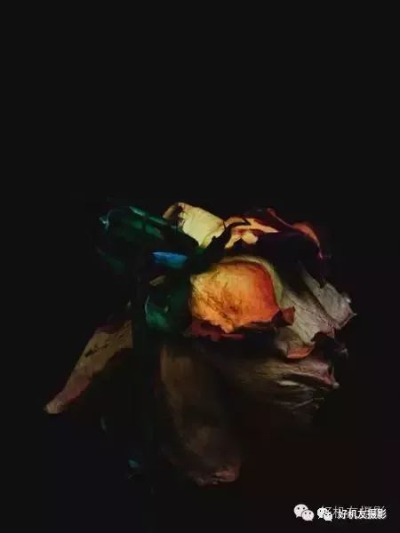 怎么拍花最好看_拍花的技巧_手把手教你拍花