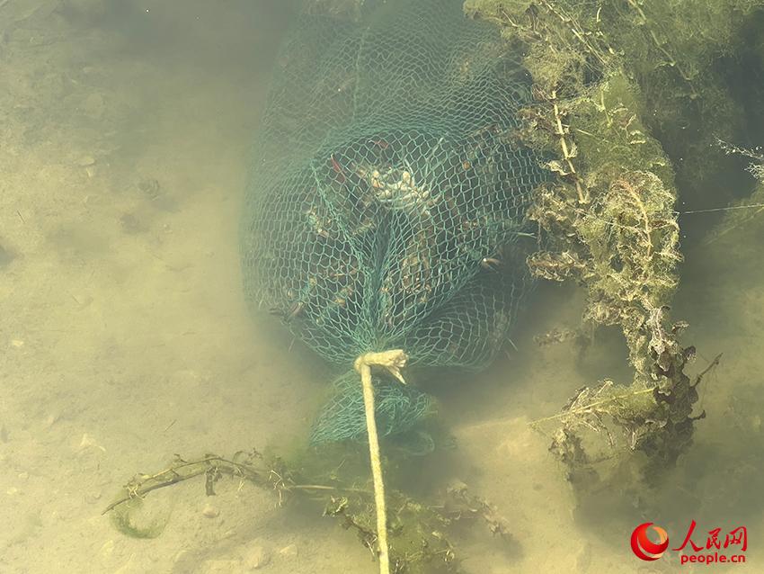 做海鲜养殖怎么样_海鲜养殖利润怎么样_海鲜养殖成本和利润