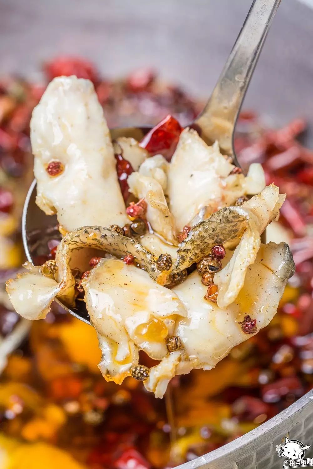 带上你身边的小仙女来这家广州最美川菜馆吧!(文内有福利哦)(图17) 广州吃好川菜的地方_广州的川菜_广州哪里吃川菜好