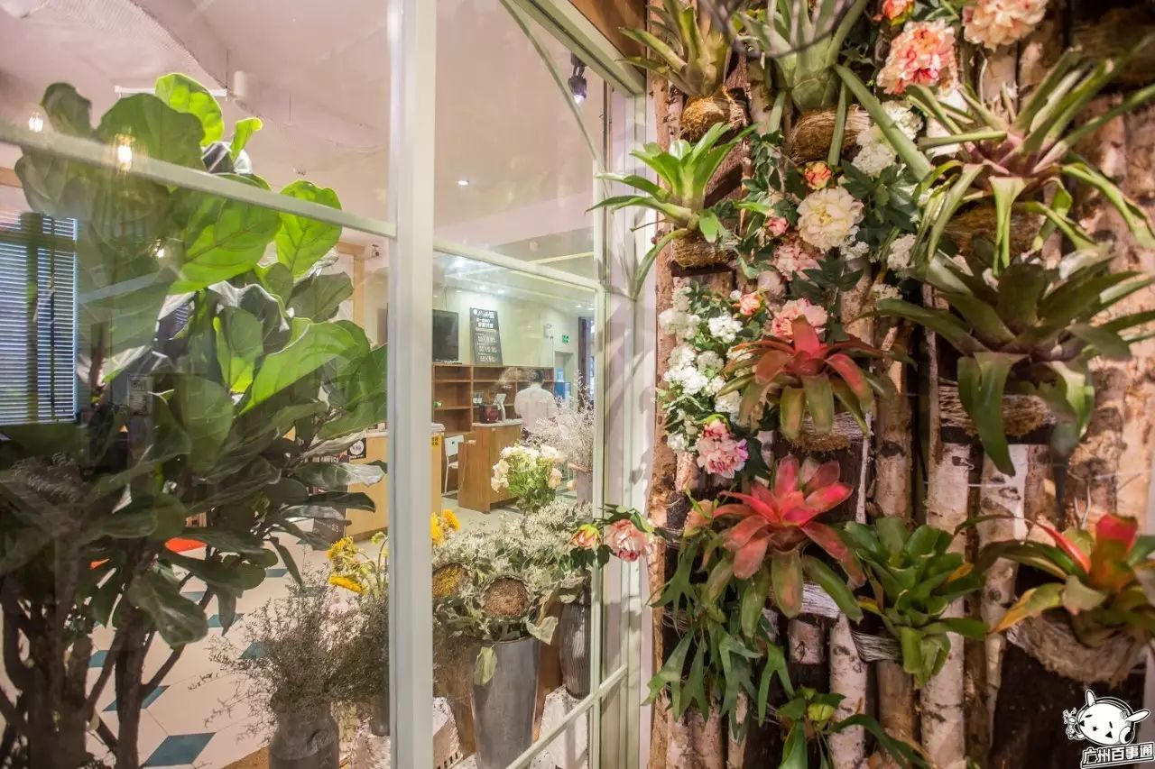 带上你身边的小仙女来这家广州最美川菜馆吧!(文内有福利哦)(图4) 广州吃好川菜的地方_广州哪里吃川菜好_广州的川菜