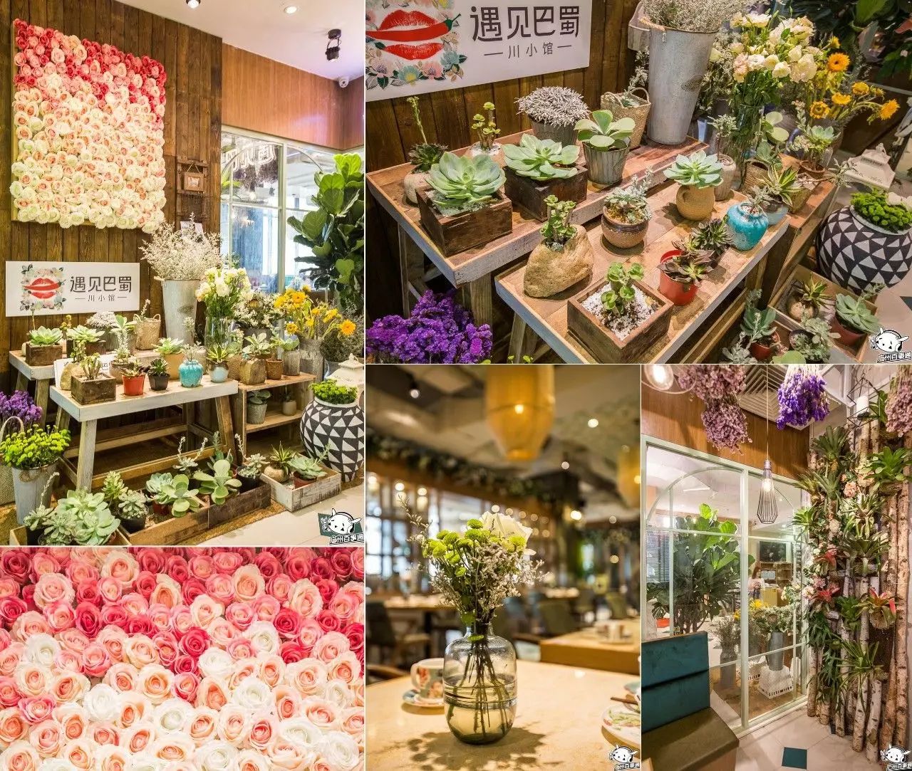 带上你身边的小仙女来这家广州最美川菜馆吧!(文内有福利哦)(图41) 广州吃好川菜的地方_广州哪里吃川菜好_广州的川菜