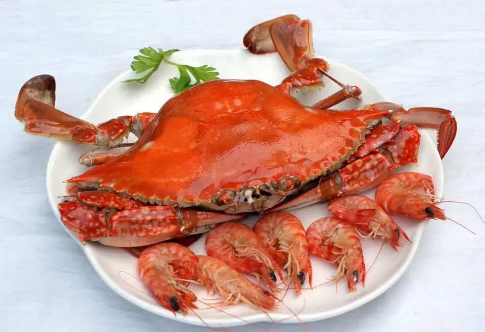 海鲜跟什么相克_海鲜相克的食物有哪些_什么食物与海鲜相克