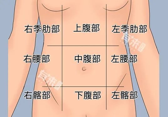女左腹部隐痛的原因有哪些_左腹部隐痛的原因女性_原因腹部左女性隐痛怎么办