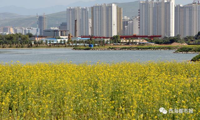 大学教育服务蓝图_蓝图学校_蓝图教育集团