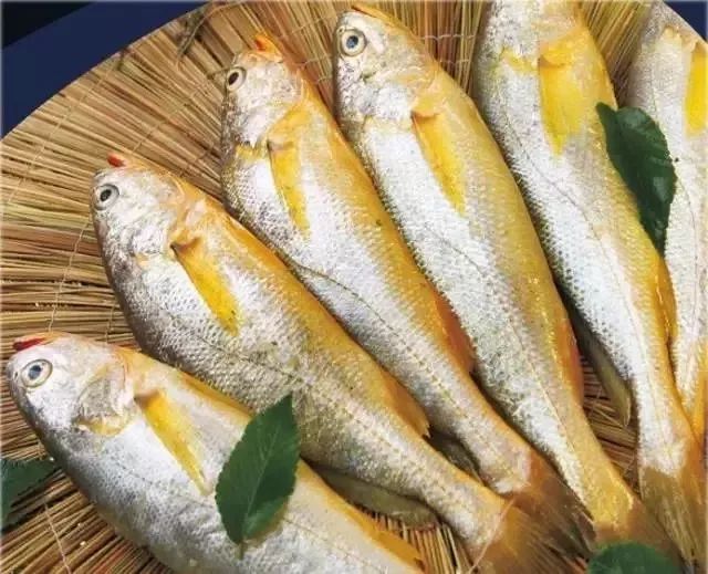 利善海鲜大咖_一分利海鲜_海鲜的利润高吗