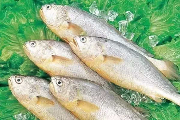 海鲜的利润高吗_一分利海鲜_利善海鲜大咖