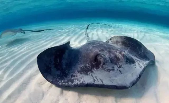 海鲜的利润高吗_一分利海鲜_利善海鲜大咖