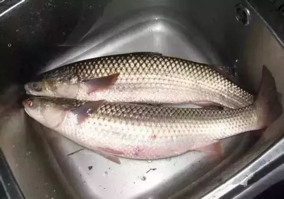 利善海鲜大咖_一分利海鲜_海鲜的利润高吗
