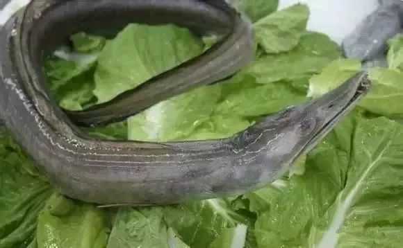 海鲜的利润高吗_一分利海鲜_利善海鲜大咖