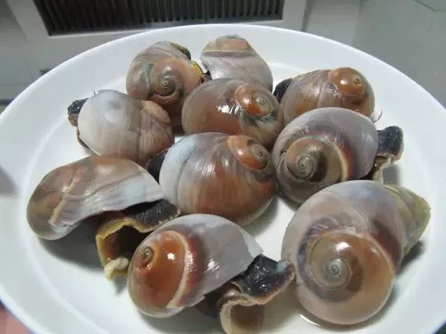 海鲜的利润高吗_利善海鲜大咖_一分利海鲜