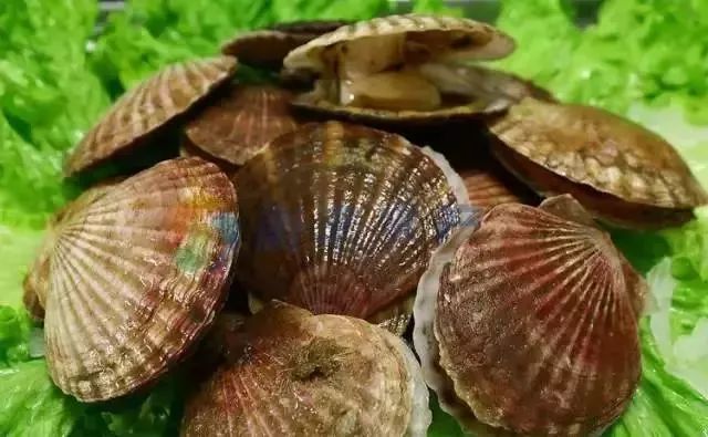 利善海鲜大咖_一分利海鲜_海鲜的利润高吗