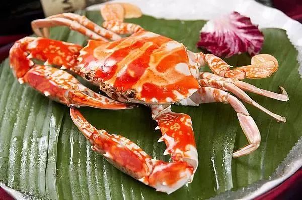 海鲜的利润高吗_利善海鲜大咖_一分利海鲜