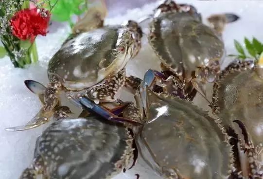 海鲜的利润高吗_一分利海鲜_利善海鲜大咖