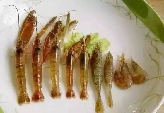 海鲜的利润高吗_利善海鲜大咖_一分利海鲜
