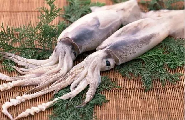 海鲜的利润高吗_一分利海鲜_利善海鲜大咖