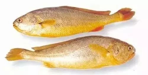 利善海鲜大咖_一分利海鲜_海鲜的利润高吗