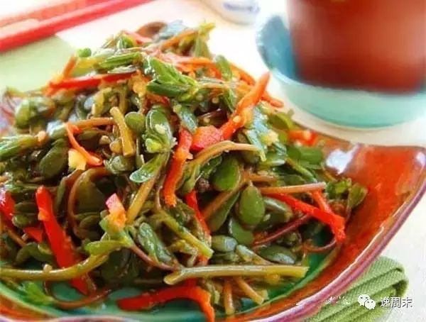 吃紫贝菜有什么好处_紫贝菜可以生吃吗_紫贝菜哪些人不能吃