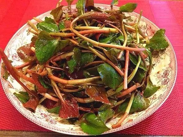 吃紫贝菜有什么好处_紫贝菜哪些人不能吃_紫贝菜什么人不能吃