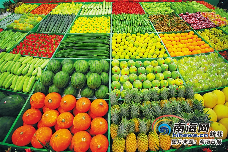 海南周刊 | 海南印记·足迹:海南发展热带高效农业 建成全国“菜篮子”“果盘子”(图1) 海南农业信息网_海南农业网站_海南农业信息网官网
