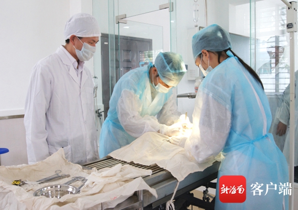 海南农业信息网_海南农业信息网官网_海南省农业厅信息网