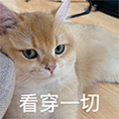 雅思考试经验分享_雅思备考经验_雅思考试经验