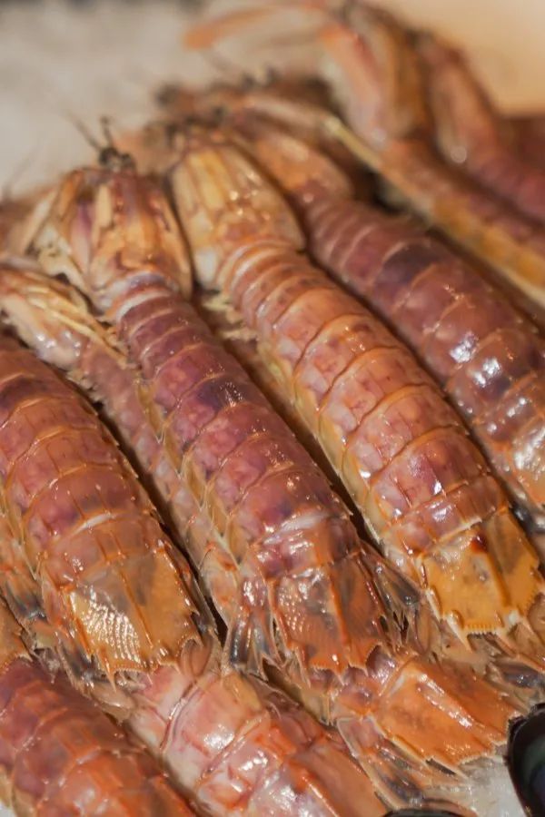 海鲜烧烤深圳哪里好吃_海鲜烧烤深圳店_深圳 海鲜 烧烤