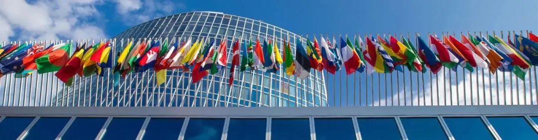 产权保护十大案例_产权保护典型案例_国际知识产权保护实例