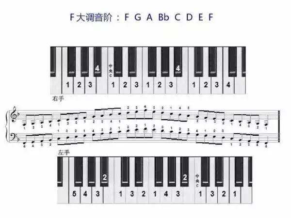 钢琴书车尔尼599_车尔尼钢琴初步教程599_钢琴车尼尔59916条