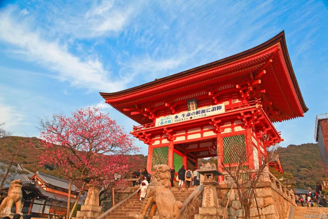 过分了啊,原来日本还有这么多青春小众景点!(图22) 日本东京小众景点_日本东京景点排行榜前十名_日本东京值得去的景点