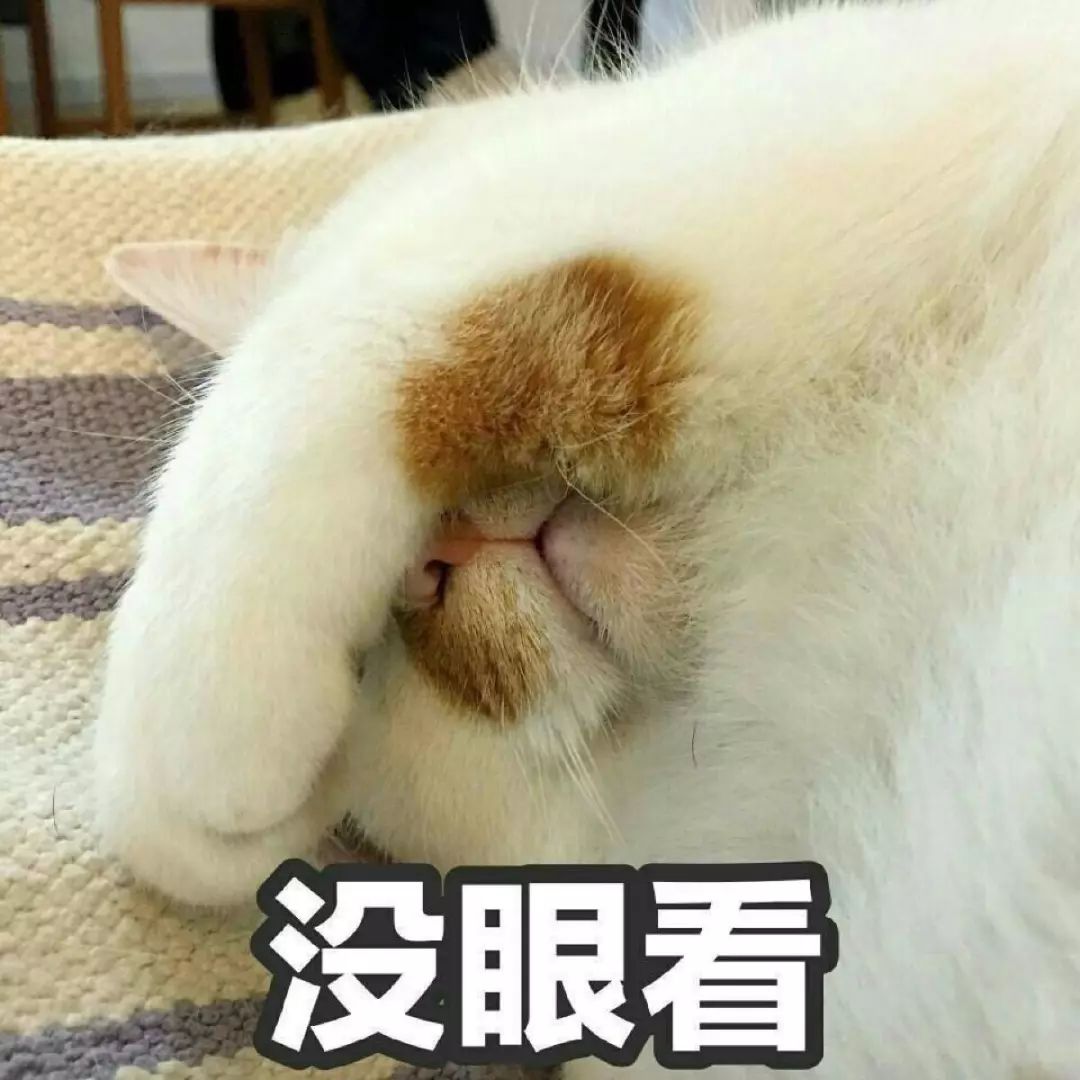 日本东京景点_日本东京小众景点_日本东京值得去的景点