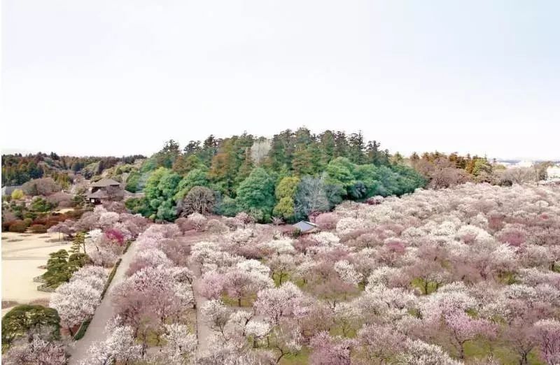 日本东京小众景点_日本东京值得去的景点_日本东京景点