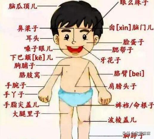 青春期:给男孩和女孩的性教育_男性青春期性教育走向成熟_关于男孩子青春期性教育的方法