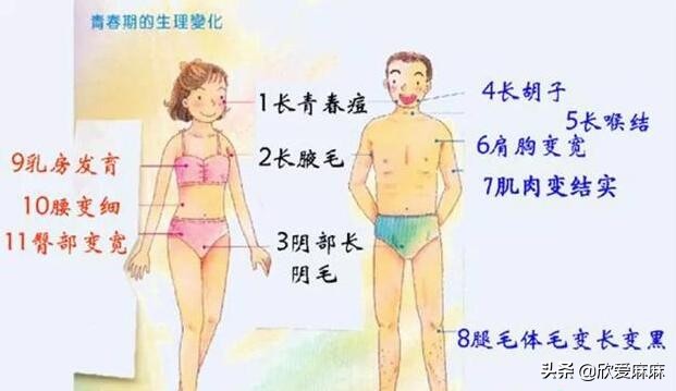 青春期:给男孩和女孩的性教育_关于男孩子青春期性教育的方法_男性青春期性教育走向成熟