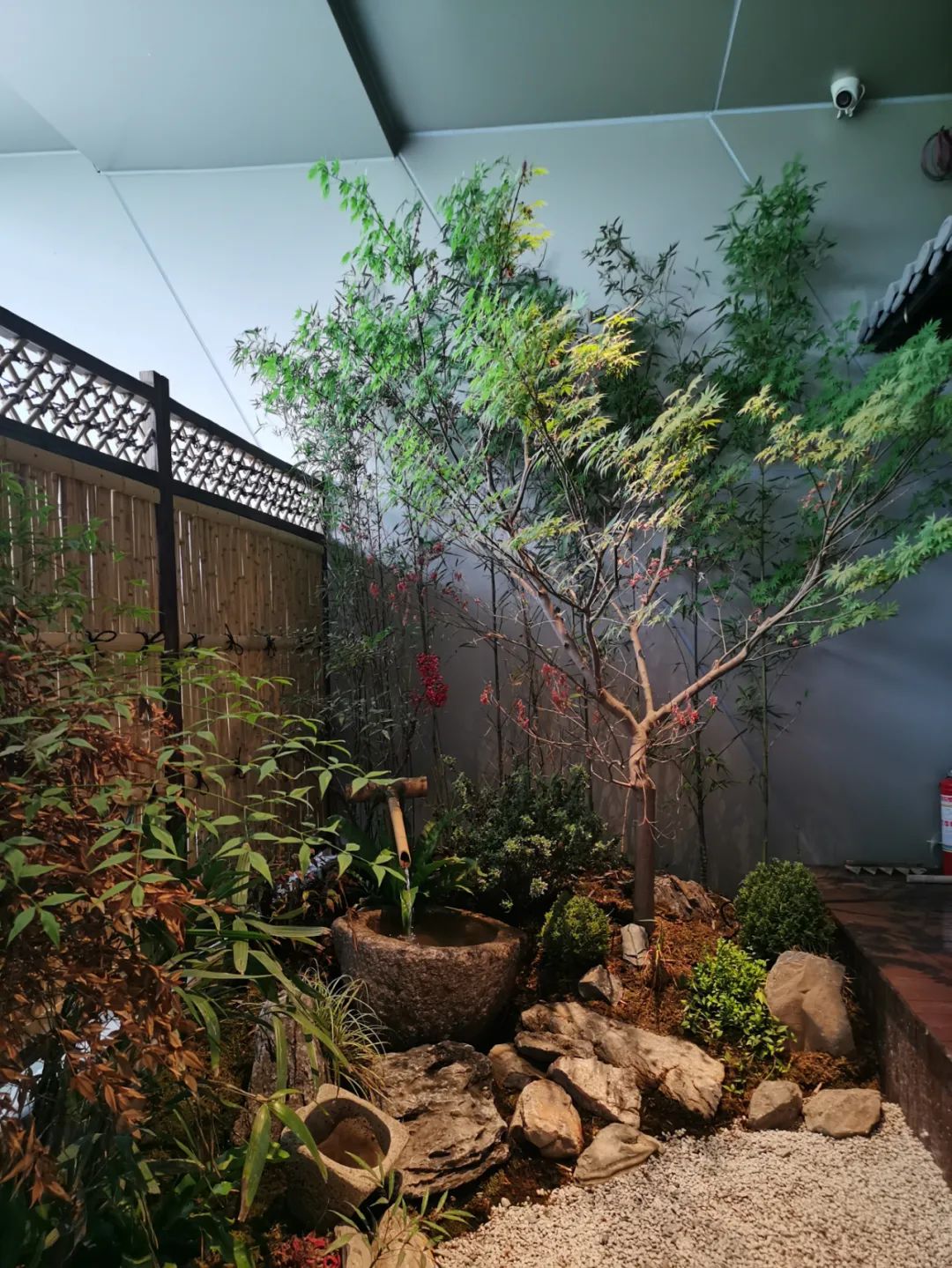 正儿八经的日本米其林一星和牛烧肉,人均980的日料到底值不值?|不差钱测评(图4) 广州牛藏烧肉电话_黑毛和牛烧肉_福州牛妈妈烧肉