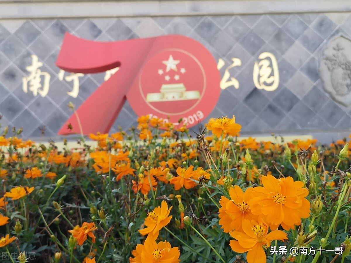 广西学院继续教育好考吗_广西哪个继续教育学院好]_广西大学继续教育