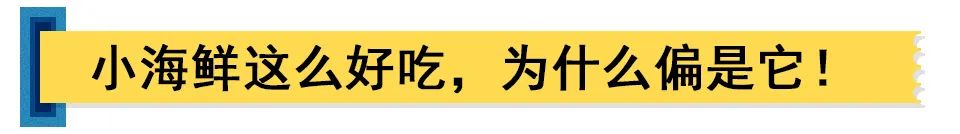 海鲜上海便宜买多少钱_上海哪里买海鲜便宜_上海买海鲜