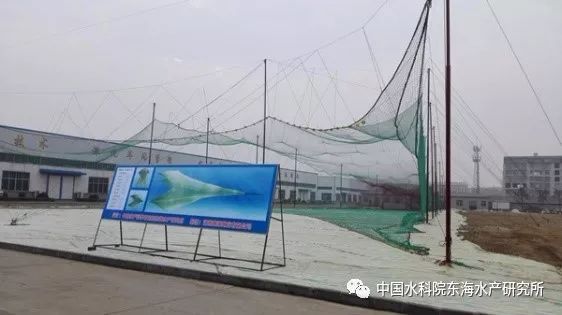 “十二五”国家科技支撑计划项目“远洋捕捞技术与渔业新资源开发”课题顺利通过任务验收(图3) 十二五农村领域国家科技计划课题_农村科技进步_农业农村科技创新专项规划