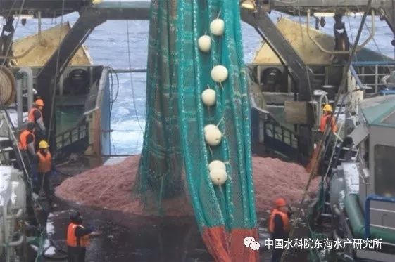 “十二五”国家科技支撑计划项目“远洋捕捞技术与渔业新资源开发”课题顺利通过任务验收(图4) 十二五农村领域国家科技计划课题_农村科技进步_农业农村科技创新专项规划